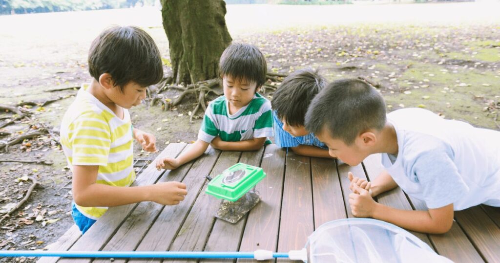 虫取りをする子どもたち
