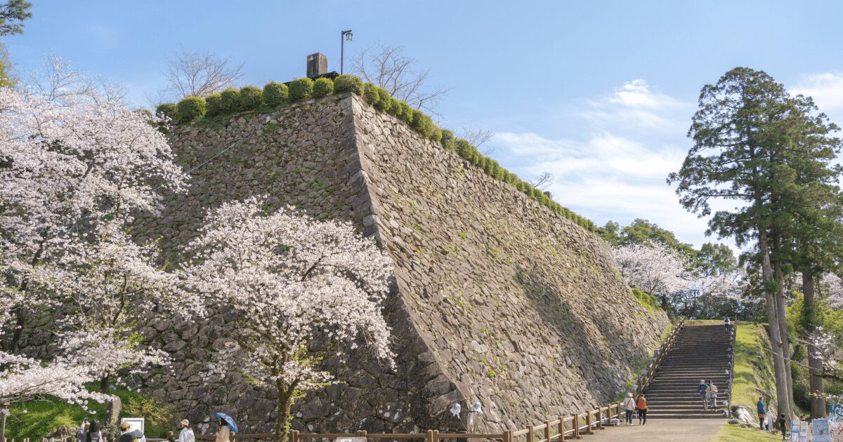 延岡市で子育てしやすい理由とは？暮らしや教育環境の魅力を紹介